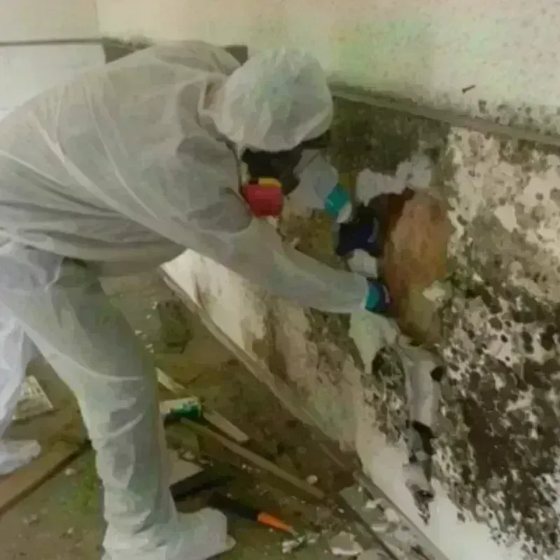 Mold Remediation and Removal in East Merrimack, NH